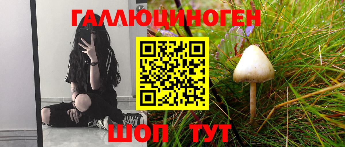 Галлюциногенные грибы мухоморы Новоалександровск