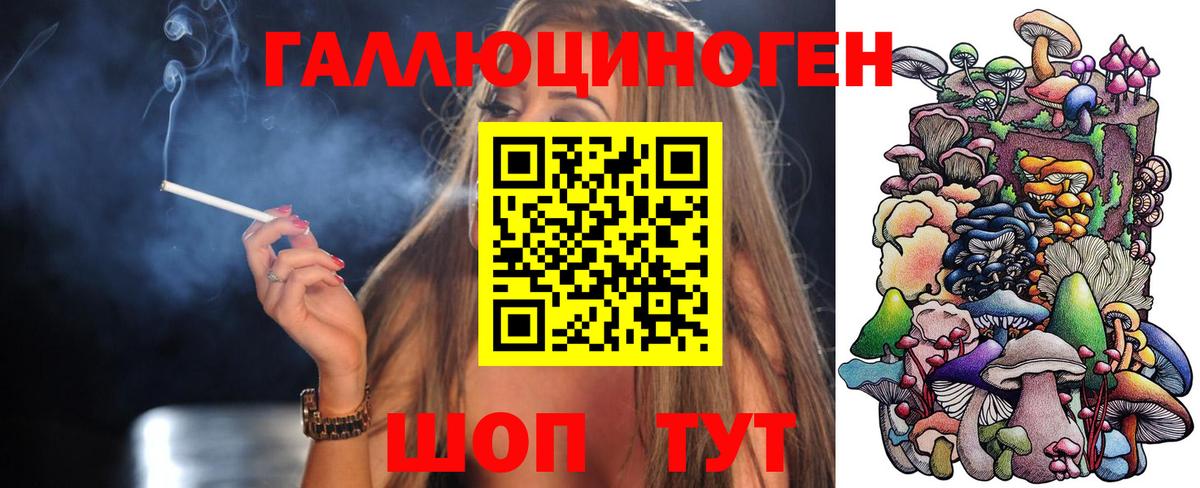 Галлюциногенные грибы MAGIC MUSHROOMS  Вход с VPN  Новоалександровск 